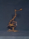 Bras de lumière