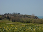 Écart, le Verger (Cancale)