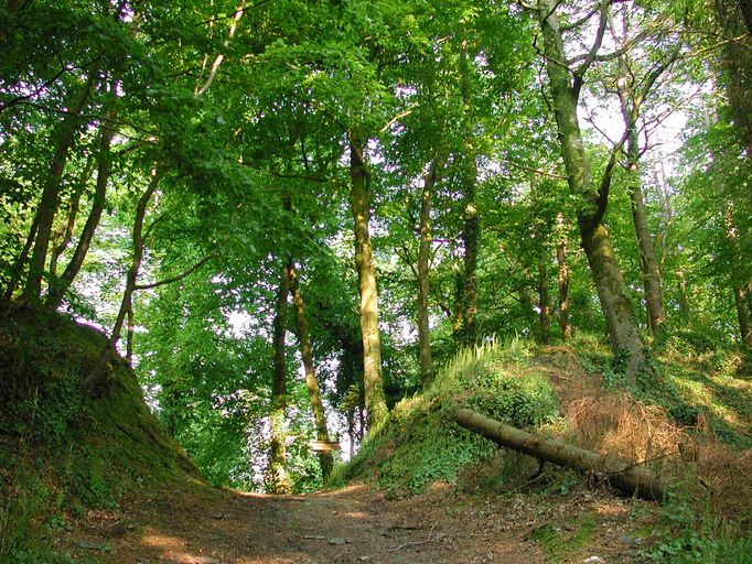 Site archéologique de Castel an Trébez : ouvrage fortifié, Forêt de Lannigou (Taulé)