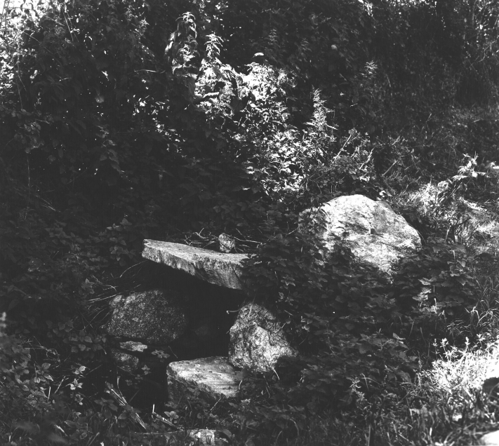 Fontaine, Brenesquin (Plougoulm)
