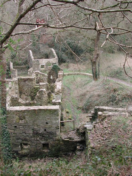 Moulin à eau de Saint-Germain, Saint-Jean (Matignon)