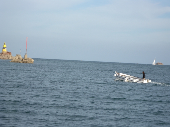 Bateau à passagers : 'Ferless'