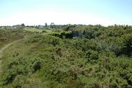 Batterie de 100 mm à tir rapide (4 canons M de 100 mm modèle 1881 TR sur affûts Vavasseur), Pointe de Cornouaille (Roscanvel)