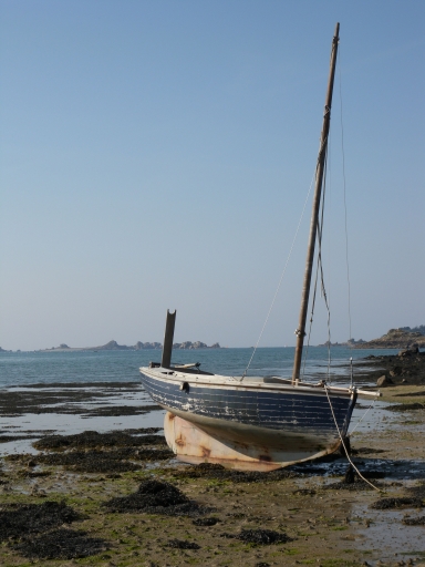 Bateau de plaisance : 'Quo vadis'