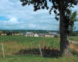 Écart, la Bourdequinaie (Ercé-près-Liffré)