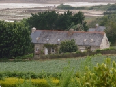 Maison, 1 rue Raluzet (Plougrescant)