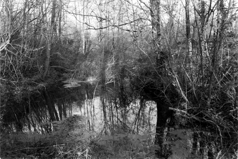 Edifice Fortifié, la Maison Seigneuriale (Plumaugat)