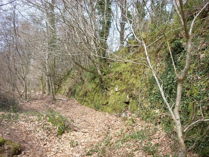 Enceinte fortifiée de l'ancien manoir, Bruillac (Plounérin)