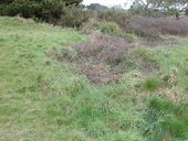 Tranchées (réseau de), Pointe Saint-Samson (Plougasnou)