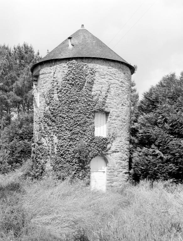 Moulin à vent, le Moulin de la Minière (Réminiac)