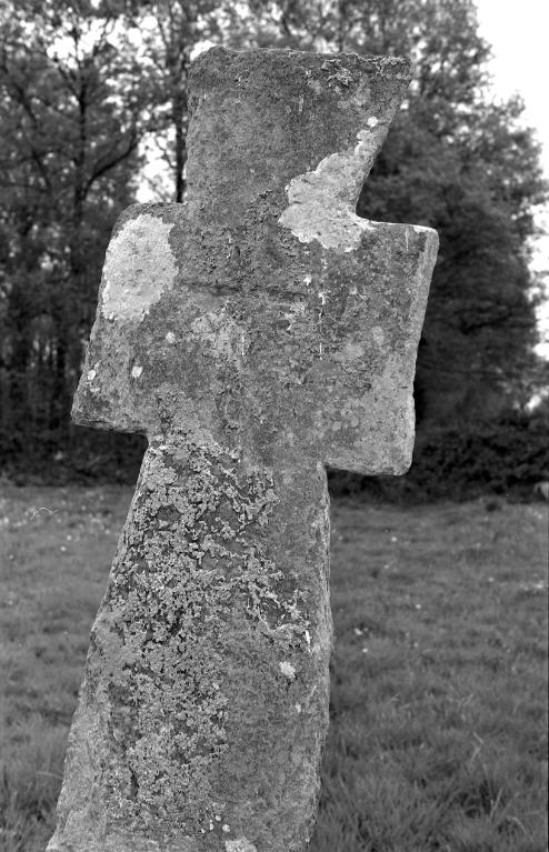 Croix monumentale, Chatain (Saint-Sulpice-des-Landes)