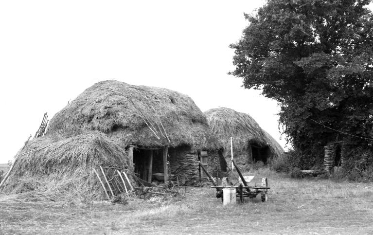 Remise agricole dite Loge, Bordenec'h (Bangor)