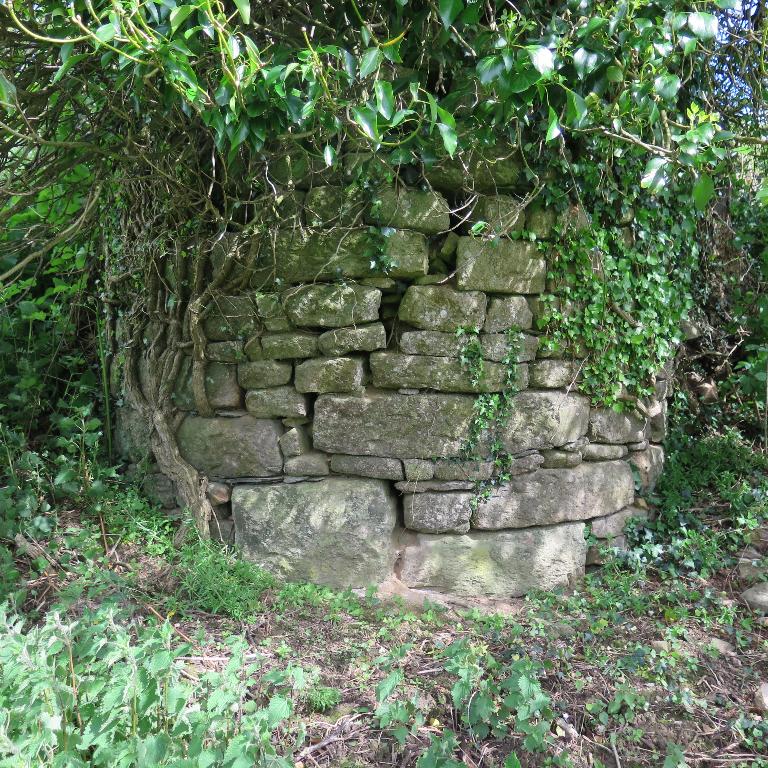 Prieuré du Manac'hty (Plufur)