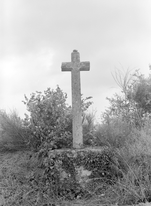 Croix de chemin du Granic, près de Lizolvan (Grand-Champ)