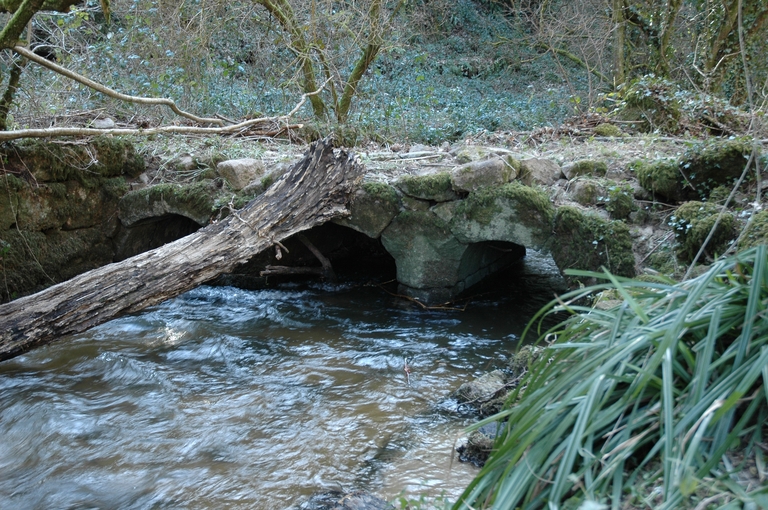 Vieux pont en pierre du Moulin du Saint (Trégrom)