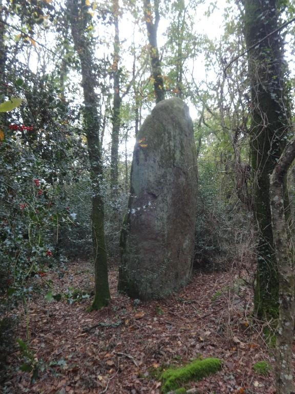 Menhir du Begué, le Bois de la Touche (Saint-Congard)