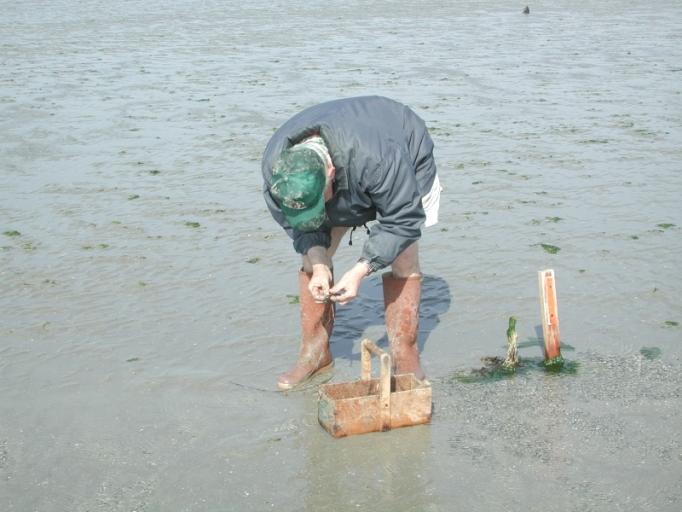 Lignes de fond (Planguenoual fusionnée en Lamballe-Armor en 2019)
