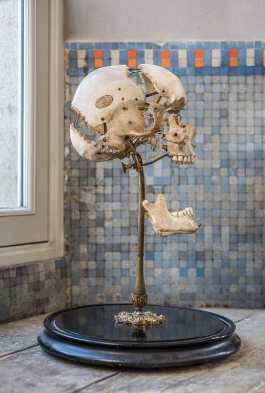 Présentation de la collection d'objets de sciences naturelles du lycée Émile Zola, Avenue Jean Janvier (Rennes)