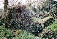 Kanndi de Milinic (Tréflévénez)