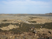 Réservoir : la pêcherie de Enez Covec (Kerbors)
