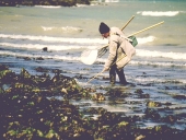 Pêches d'estran
