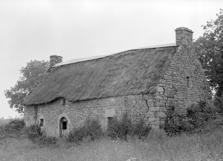 Maison, Luzern (Grand-Champ)