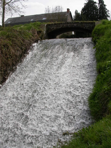 Pont, le Bois Botterel (Trévérien)