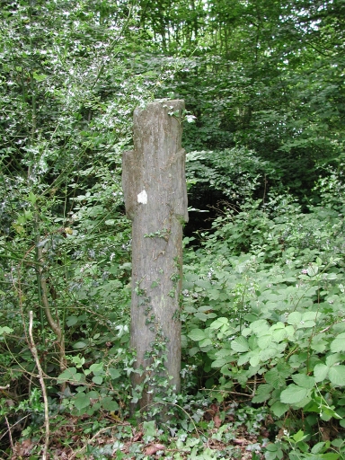Croix de chemin, Saint-Marcellin (Bains-sur-Oust)