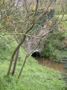 Pont, la Belle Etoile (Saint-Médard-sur-Ille)