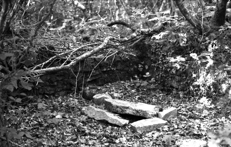 Manoir, Le Quilliou (Plogastel-Saint-Germain)