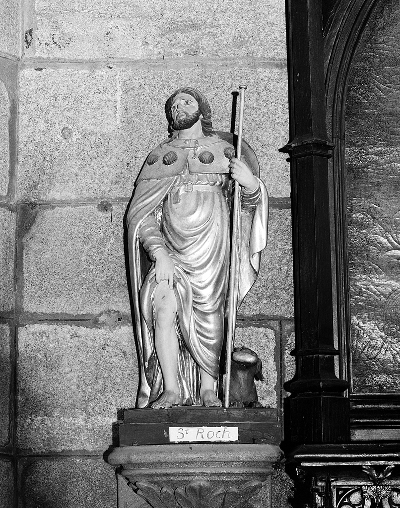 Statue (d'applique) : saint Roch montrant sa plaie, cathédrale de Saint-Paul-Aurélien (Saint-Pol-de-Léon)