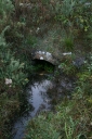 Fontaine dite "fontaine du Yeun", Ménesguen (Crozon)