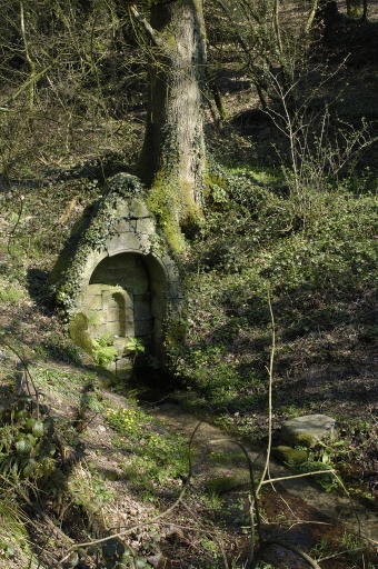 Fontaine de dévotion Saint-Gildas, près de Bourron (Baud)
