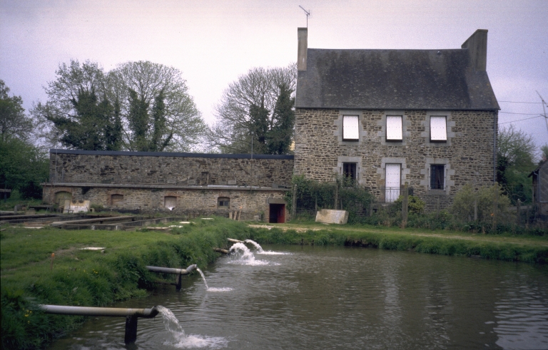 Moulin à blé, puis filature de Galaché, actuellement pisciculture (Javené)