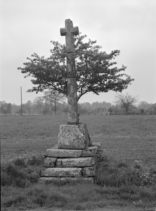 Croix de chemin, Janouse (Mecé)