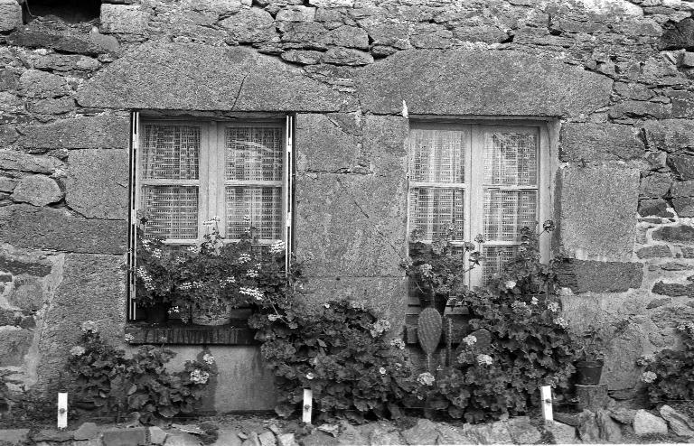 Ferme, Turgé (Chavagne)