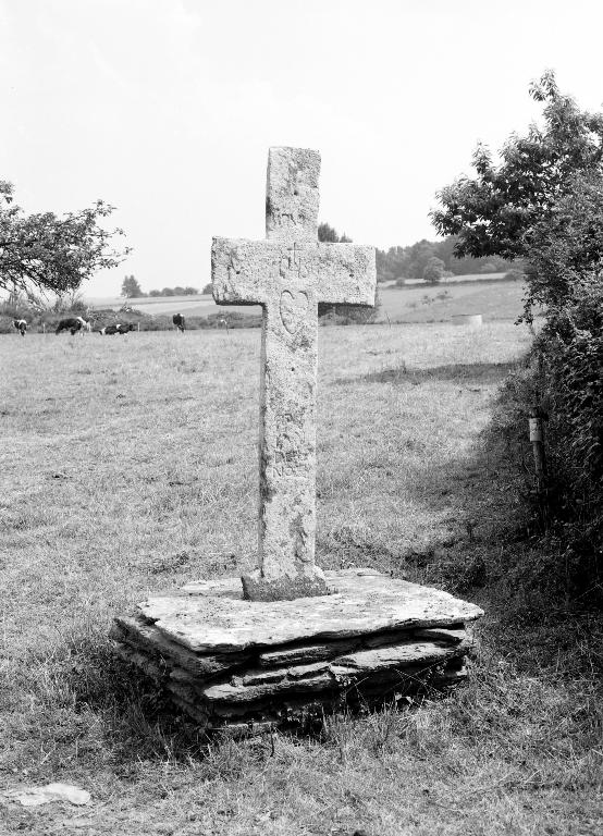 Croix de chemin, la Danais (Carentoir)