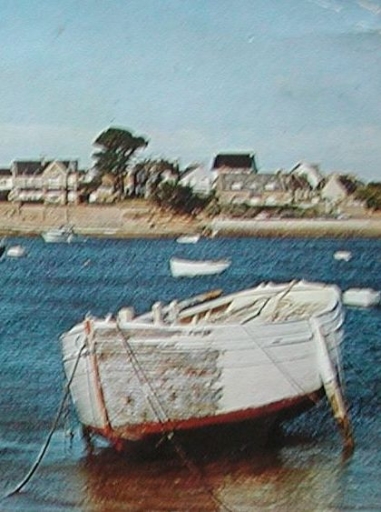 Bateaux de pêche de Trégastel