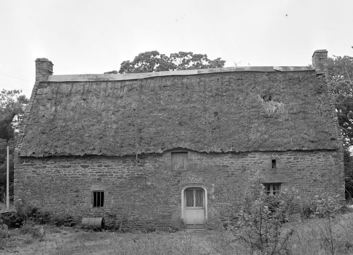 Ferme, Lopabu (Grand-Champ)