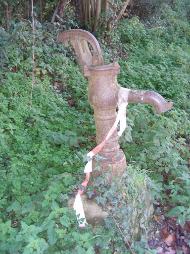 Fontaine, Saint-Grégoire (Miniac-Morvan)
