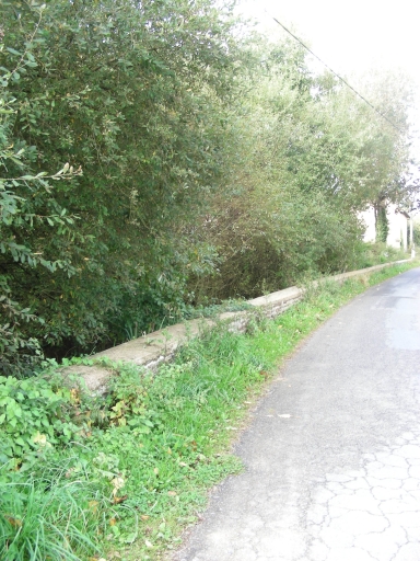 Pont, le Vivier (Bourgbarré)