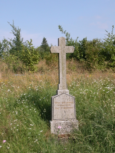 Croix de chemin, près du Chêne des Noës (Saint-Aubin-d'Aubigné)