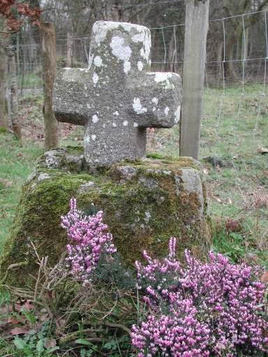 Croix de chemin, près de Launay Tuniou (Bonnemain)