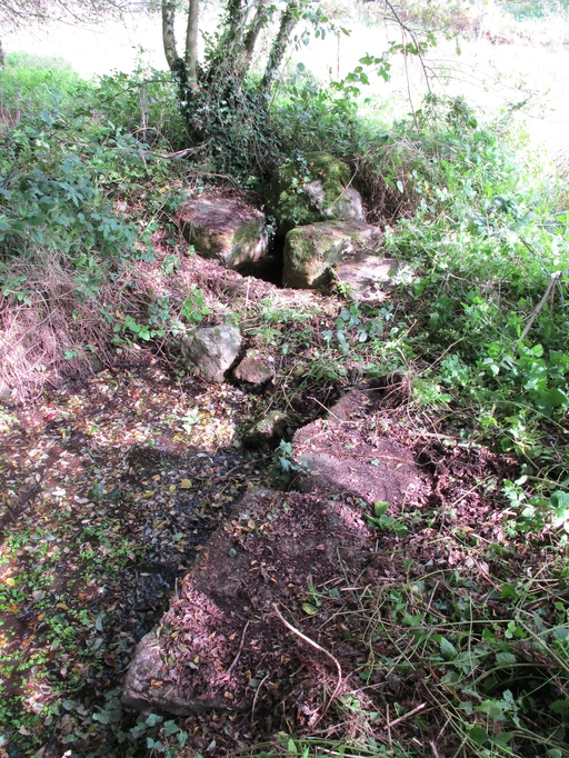 Fontaine de dévotion de Saint-Connay (Lanvellec)