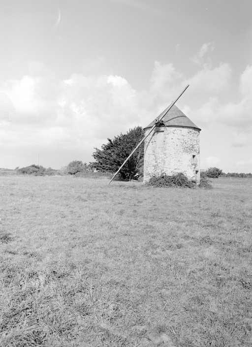 Moulin, Varech (Bangor)