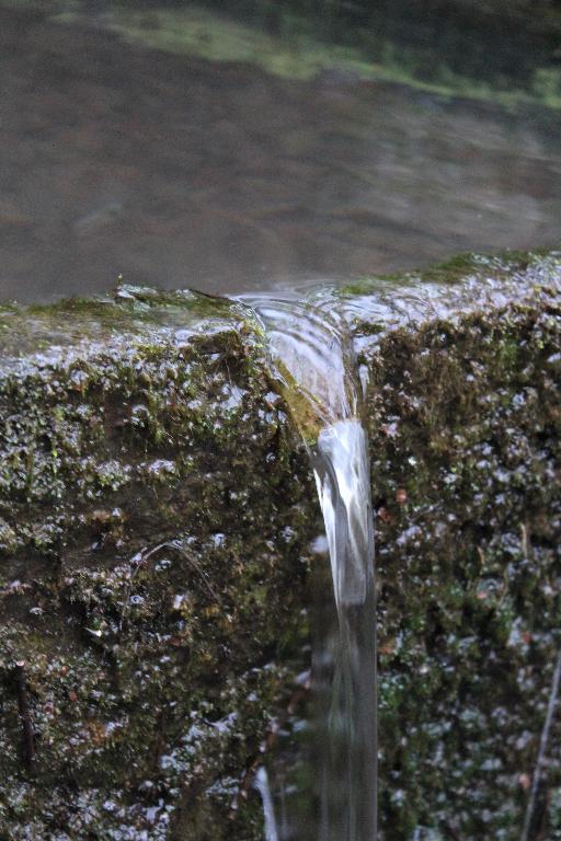 Kanndi de Kerriou (Ploudiry)