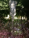 Croix de chemin, la Dénetais (Bréal-sous-Montfort)
