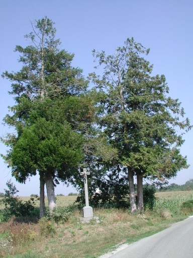 Croix de chemin, près du Plessis Gouault (Pleumeleuc)