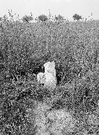 Croix de chemin, au sud du Bourgneuf (Carentoir)