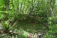 Motte féodale de Kerhervé (Ploubezre)